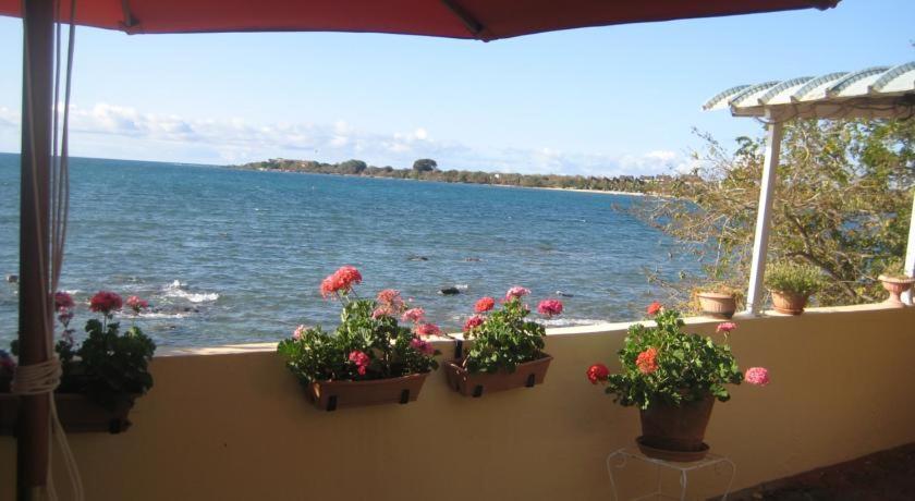 Le Cactus Guesthouse Terre Rouge  Exterior foto
